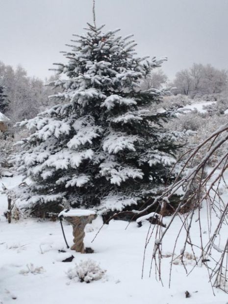 Snow